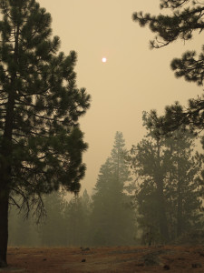 Day2Visibility