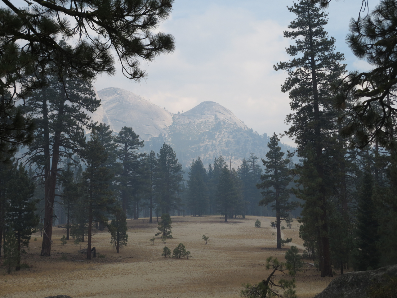 Illouette Creek during the Rim Fire Illouette Creek during the Rim Fire